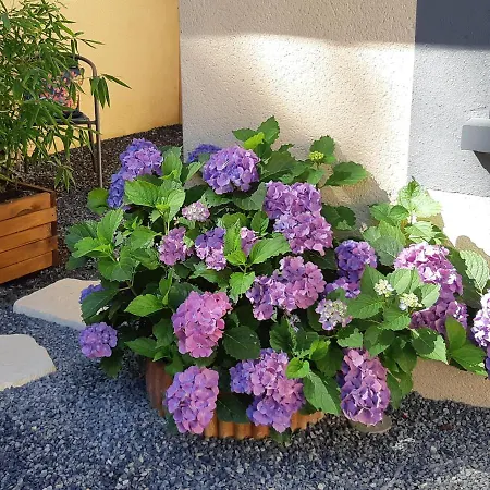 B&B Chambre D Hotes Le Val Du Loup Petit Dejeuner Continental Sur Demande *
